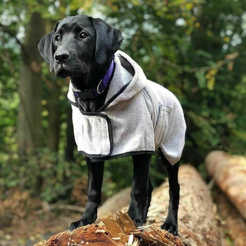 Happypet professional dog - happypet,